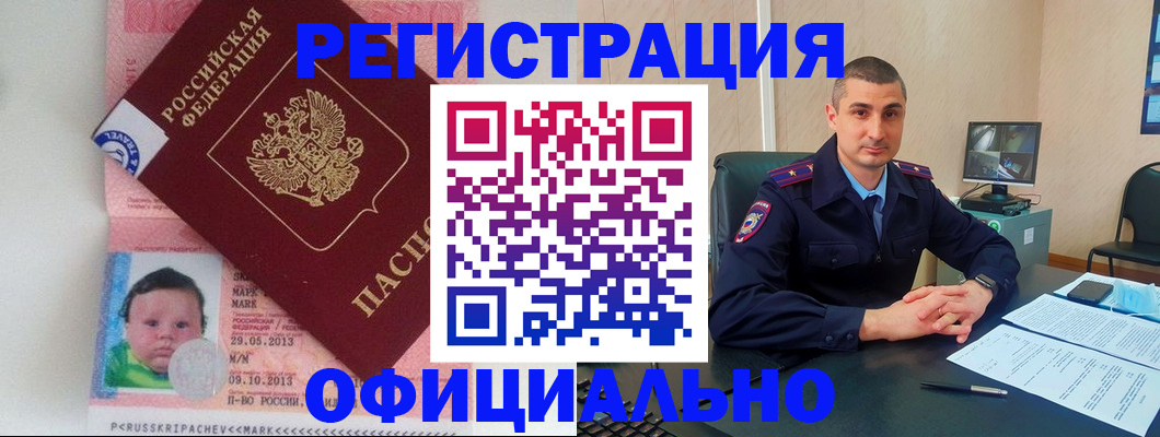 прописка поиск в Зеленогорске